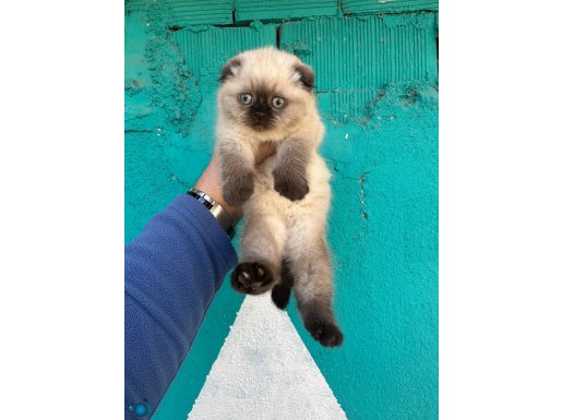 A kalite WC eğitimli 