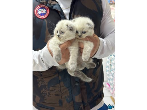 A kalite wc eğitimli 