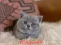 ÇOK GÜZELLİK UYGUN PUANLI 