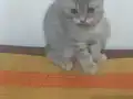 Aşık olacağınız bebekler 