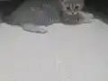 Aşık olacağınız bebekler 