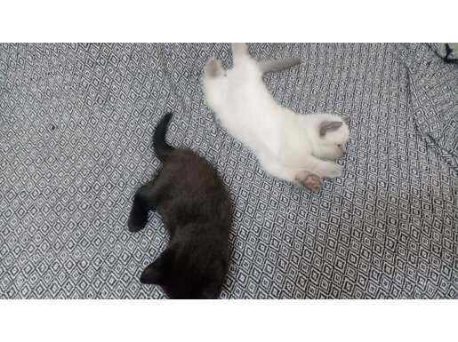 TATLIMI TATLI BEBİŞLER HEPSİ BURDA BAKMADAN GEÇME