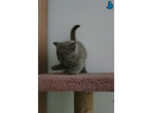 BAKMADAN GEÇME TATLI BEBİŞ