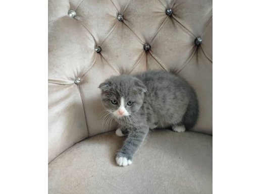 BEBİŞLER BURDA BAKMADAN GEÇMEYİN 