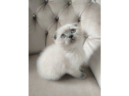 ASALETİYLE DURUŞUYLA ETKİLEYİCİ YAVRULARIMIZ