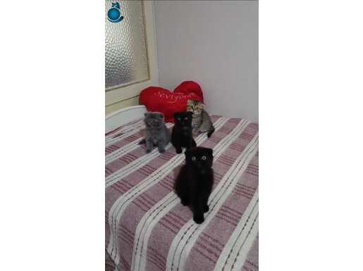 BEBİŞLER BURDA BAKMADAN GEÇME