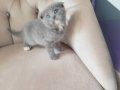 BEBİŞLER BURDA