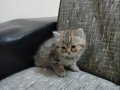 BAKMADAN GEÇMEYİN