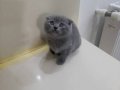 ACİL UYGUN VERİLECEKTİR BAKMADAN GEÇME
