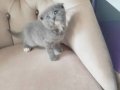 ACİL UYGUN VERİLECEKTİR BAKMADAN GEÇME