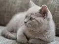 BAKMADAN GEÇME KAÇIRIRSAN ÜZÜLÜR