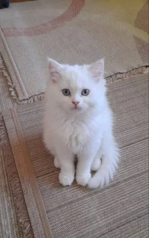 BAKMADAN GEÇME KAÇIRIRSAN ÜZÜLÜR
