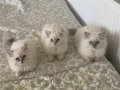BAKMADAN GEÇME BU KADAR GÜZELİ WHATSAPP LUTFEN