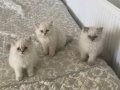 BAKMADAN GEÇME BU KADAR GÜZELİ WHATSAPP LUTFEN
