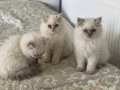 BAKMADAN GEÇME BU KADAR GÜZELİ WHATSAPP LUTFEN