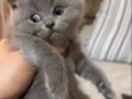 BAKMADAN GEÇMEYİN KAÇIRAN ÜZÜLÜR BEBİŞLER