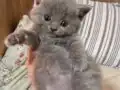 BAKMADAN GEÇMEYİN KAÇIRAN ÜZÜLÜR BEBİŞLER