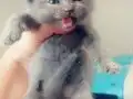 BAKMADAN GEÇMEYİN KAÇIRAN ÜZÜLÜR BEBİŞLER