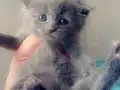 BAKMADAN GEÇMEYİN KAÇIRAN ÜZÜLÜR BEBİŞLER