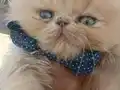 BEBİŞLER BURDA BAKMADAN GEÇME