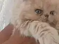 BEBİŞLER BURDA BAKMADAN GEÇME