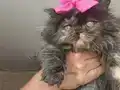 BEBİŞLER BURDA BAKMADAN GEÇME