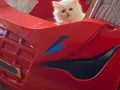 BAKMADAN GEÇMEYİN HER RENK İÇİN MANİSA İZMİR