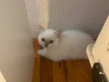 BAKMADAN GEÇMEYİN HER RENK İÇİN MANİSA İZMİR