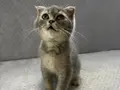 Yeni yuvasını arayan küçük bebek????????