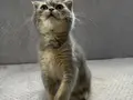 Yeni yuvasını arayan küçük bebek????????