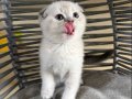 TATLI OYUNCU USLU NARİN BEBEĞİME YUVA ARIYORUM 2 AYLIK BEBEK
