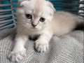 TATLI OYUNCU USLU NARİN BEBEĞİME YUVA ARIYORUM 2 AYLIK BEBEK
