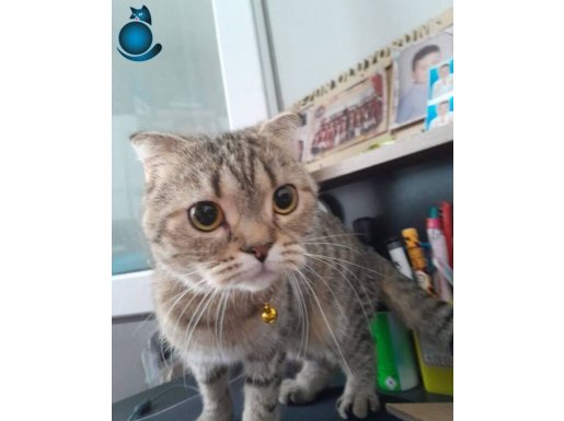 Çok uysal kesinlikle yaramaz değildir 1.5 yaşında kızımız