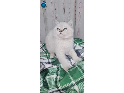 Miniklerim yeni yuvalarına gitmeye hazır