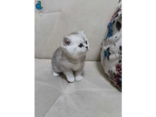 Miniklerim yeni yuvalarına gitmeye hazır.