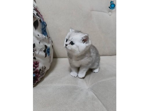 Miniklerim yeni yuvalarına gitmeye hazır.