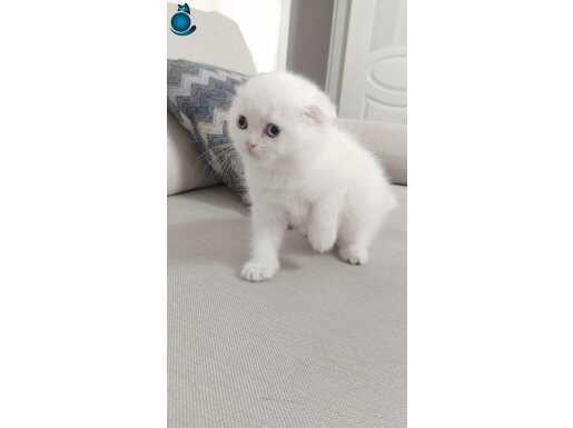 Miniklerim yeni yuvalarını bekliyor.