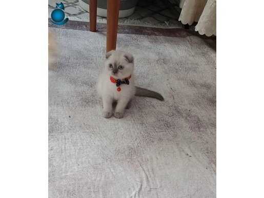 Yakışıklı oyuncu temas bağımlısı oğlum