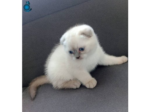 Boncuk gözlü yakışıklı oğlum