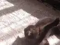 Çikolata bebeğim