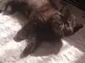 Çikolata bebeğim
