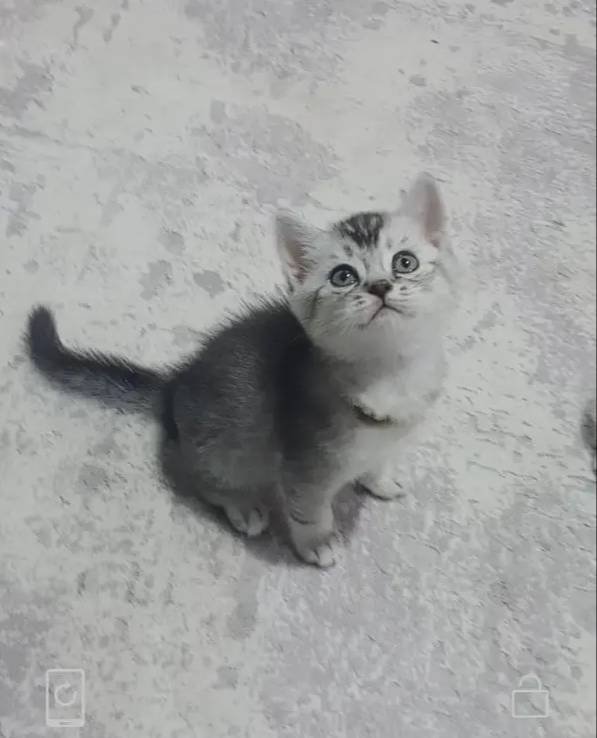 Yakışıklı bebeğim