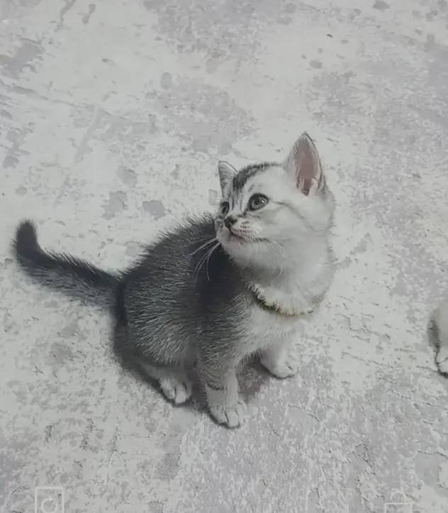 Yakışıklı bebeğim
