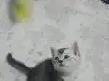 Yakışıklı bebeğim