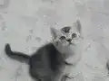 Yakışıklı bebeğim