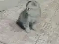 Yakışıklı bebeğim