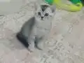 Yakışıklı bebeğim