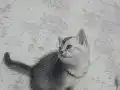 Yakışıklı bebeğim