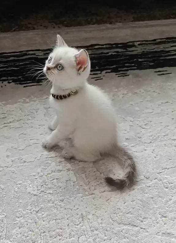 Güzel prensesim 