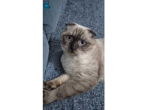 Ücretsiz bir Yakışıklı delikanlı 